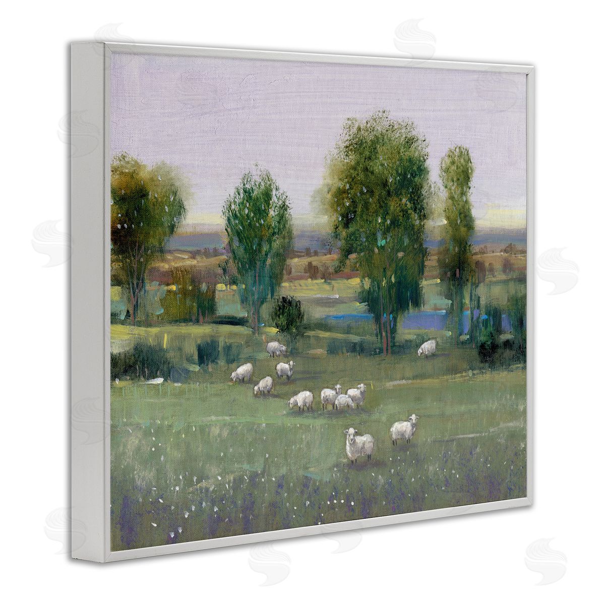 Tim OToole | Sheep in Pasture Overlook