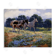 Claire Goldrick | Horse Family in Floral Meadow