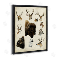 Unknown | Buffalo & Elks Woodland Animals