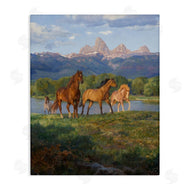 Claire Goldrick | Mountain River View Horses