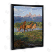 Claire Goldrick | Mountain River View Horses