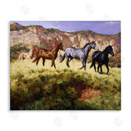 Claire Goldrick | Mixed Horses & Desert Mountains