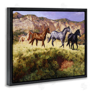 Claire Goldrick | Mixed Horses & Desert Mountains