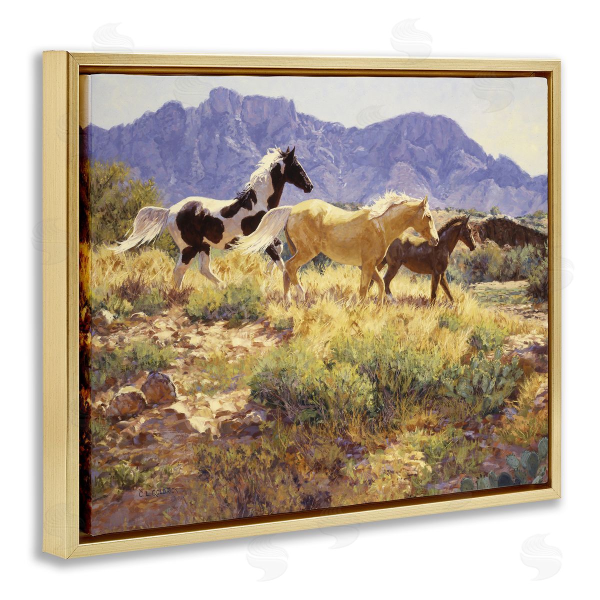 Claire Goldrick | Trotting Through Countryside Valley