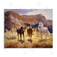 Claire Goldrick | Horses & Desert Cliffs