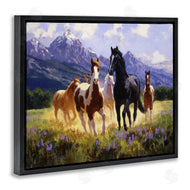 Claire Goldrick | Lovely Mountain Valley Horses