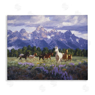 Claire Goldrick | Valley Meadow Horse Herd