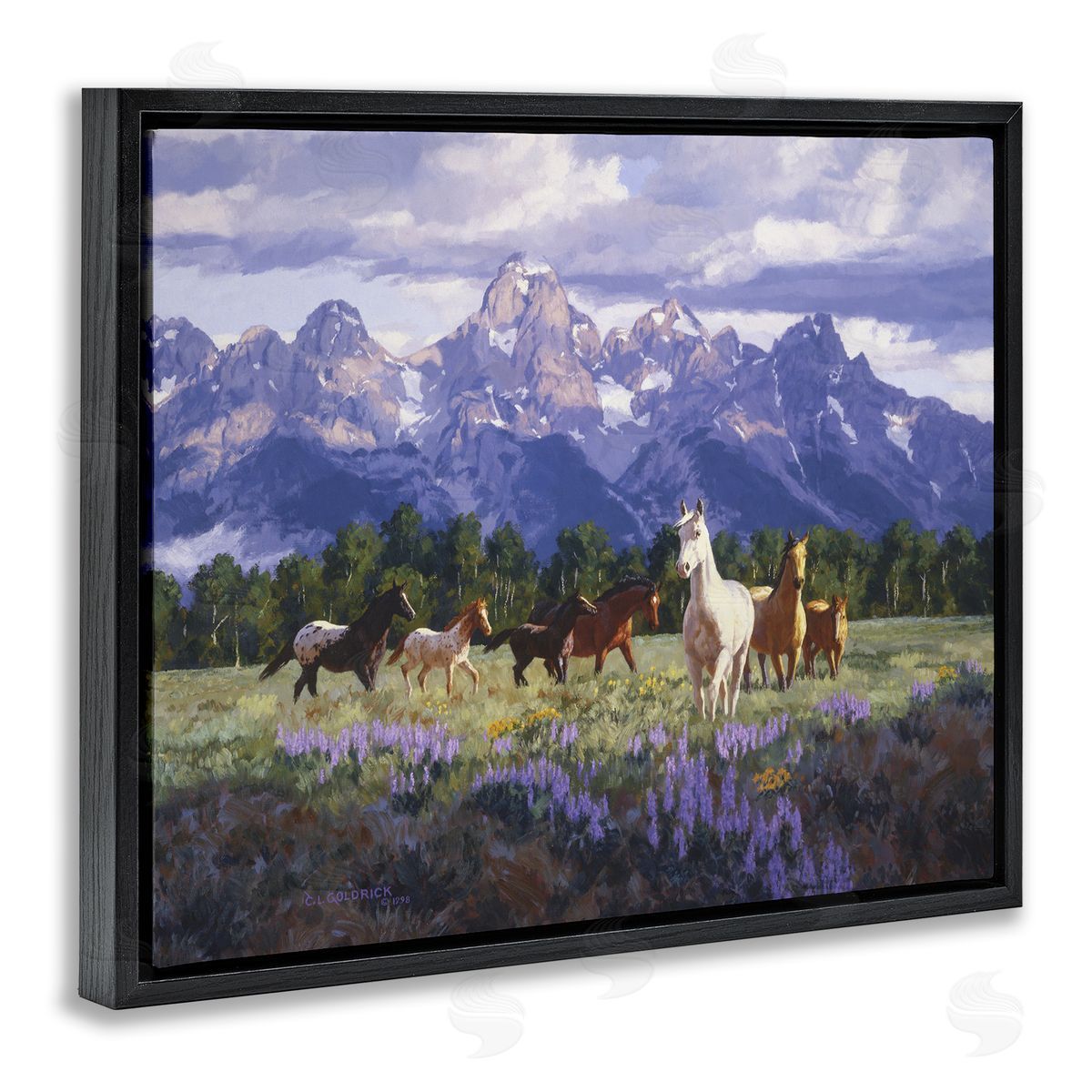 Claire Goldrick | Valley Meadow Horse Herd