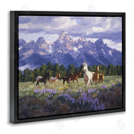 Claire Goldrick | Valley Meadow Horse Herd