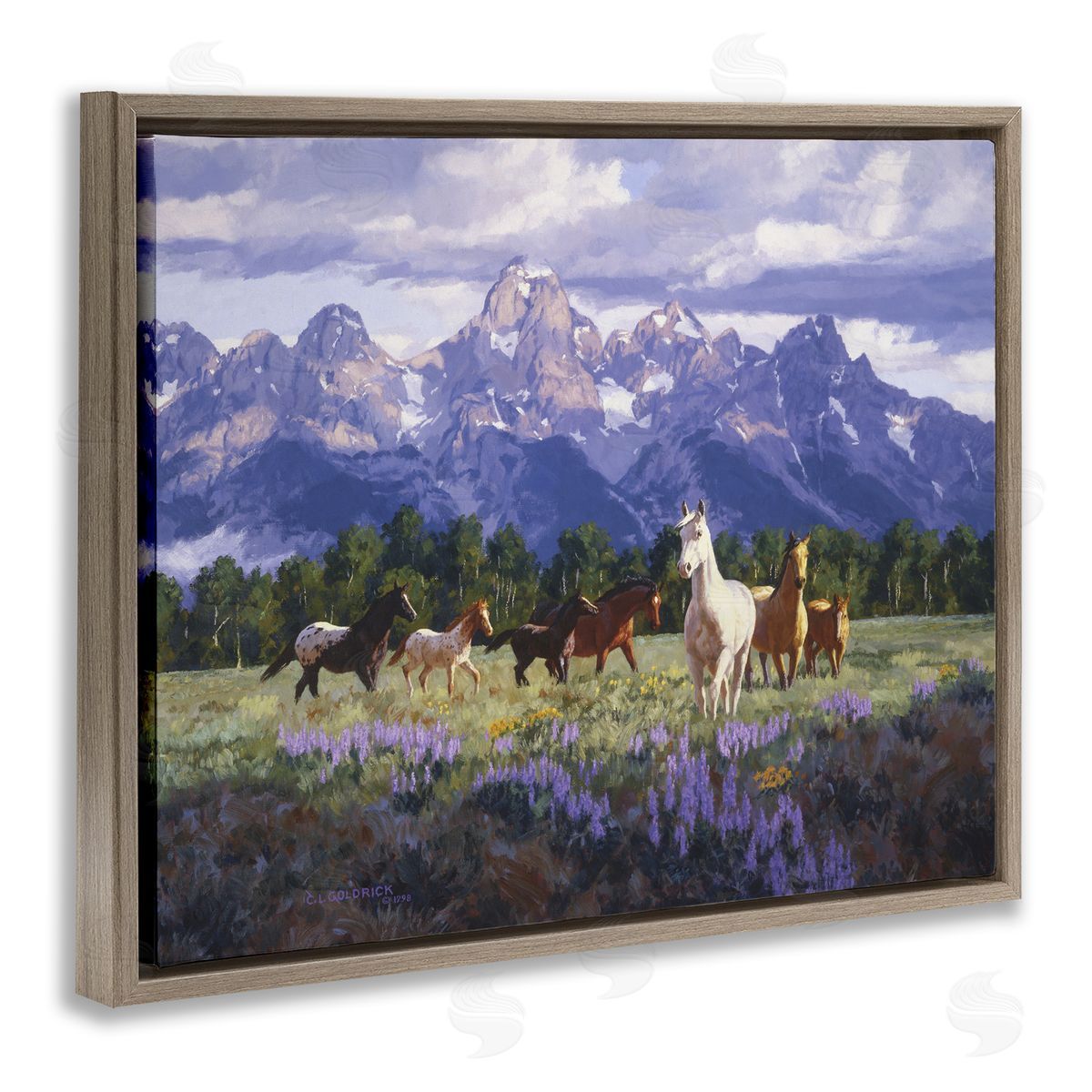 Claire Goldrick | Valley Meadow Horse Herd