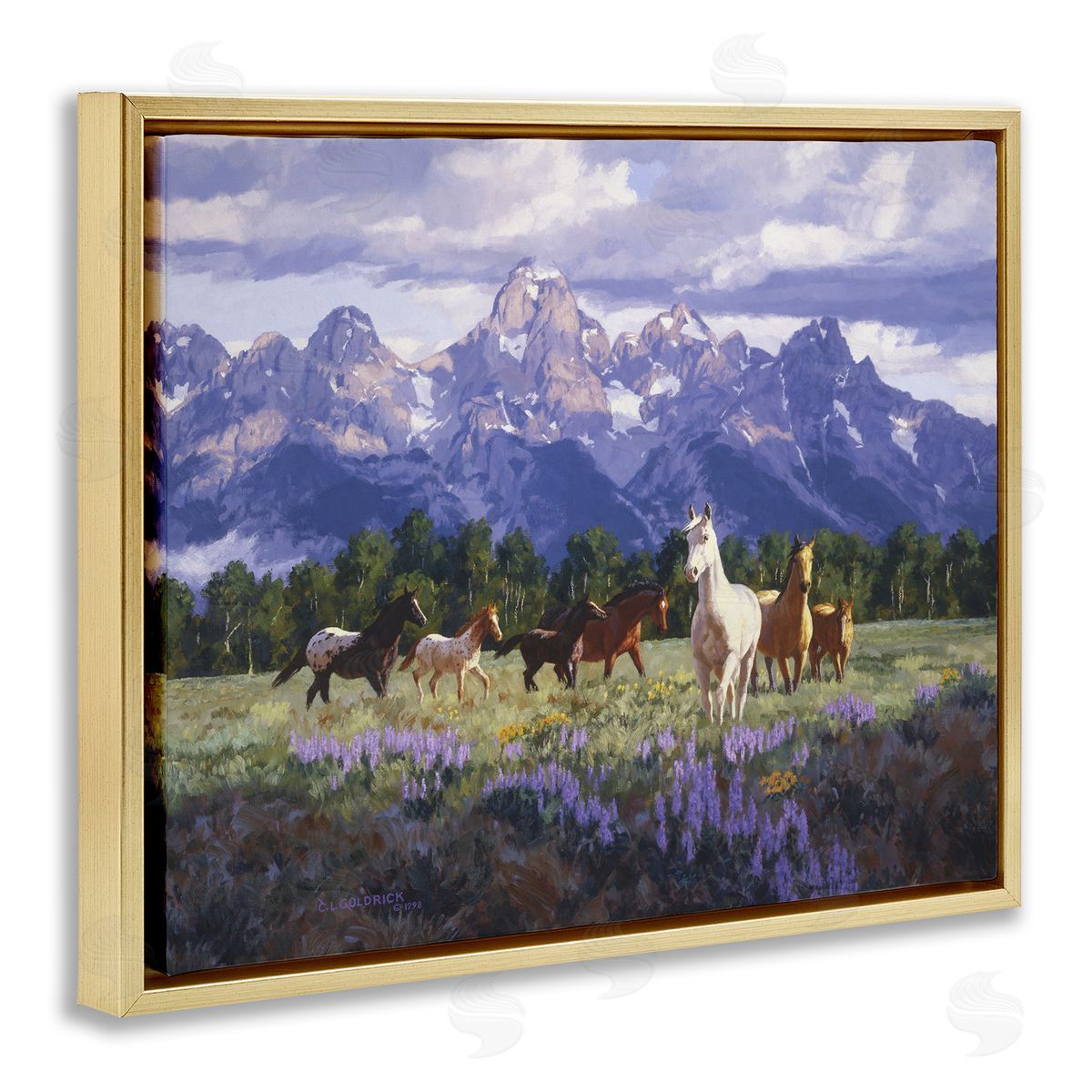 Claire Goldrick | Valley Meadow Horse Herd