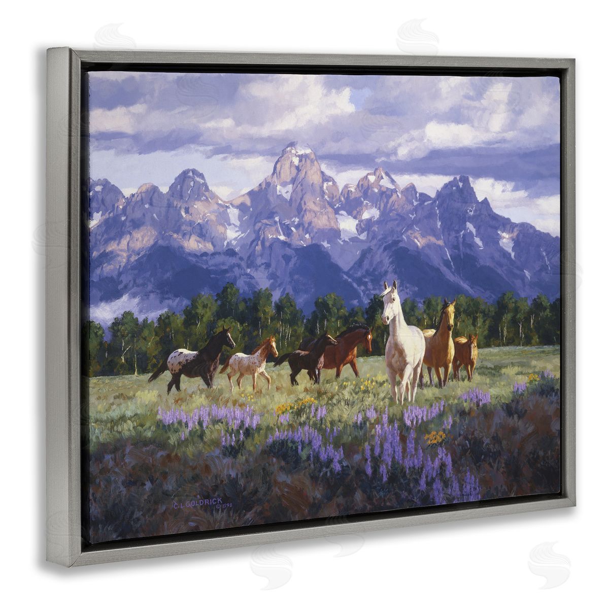 Claire Goldrick | Valley Meadow Horse Herd