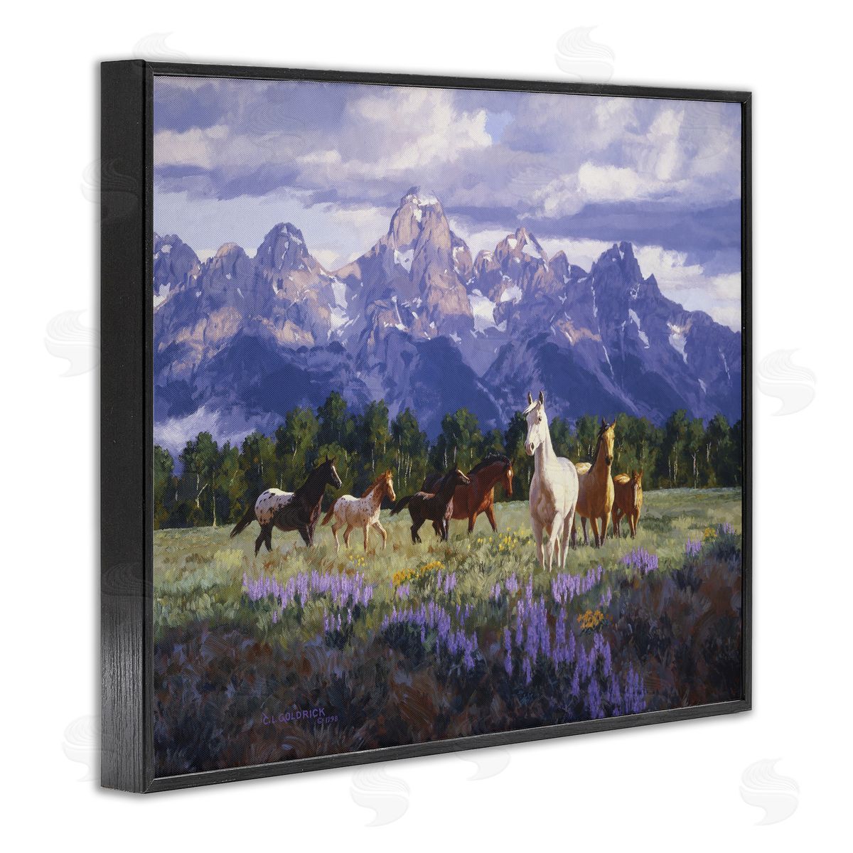 Claire Goldrick | Valley Meadow Horse Herd
