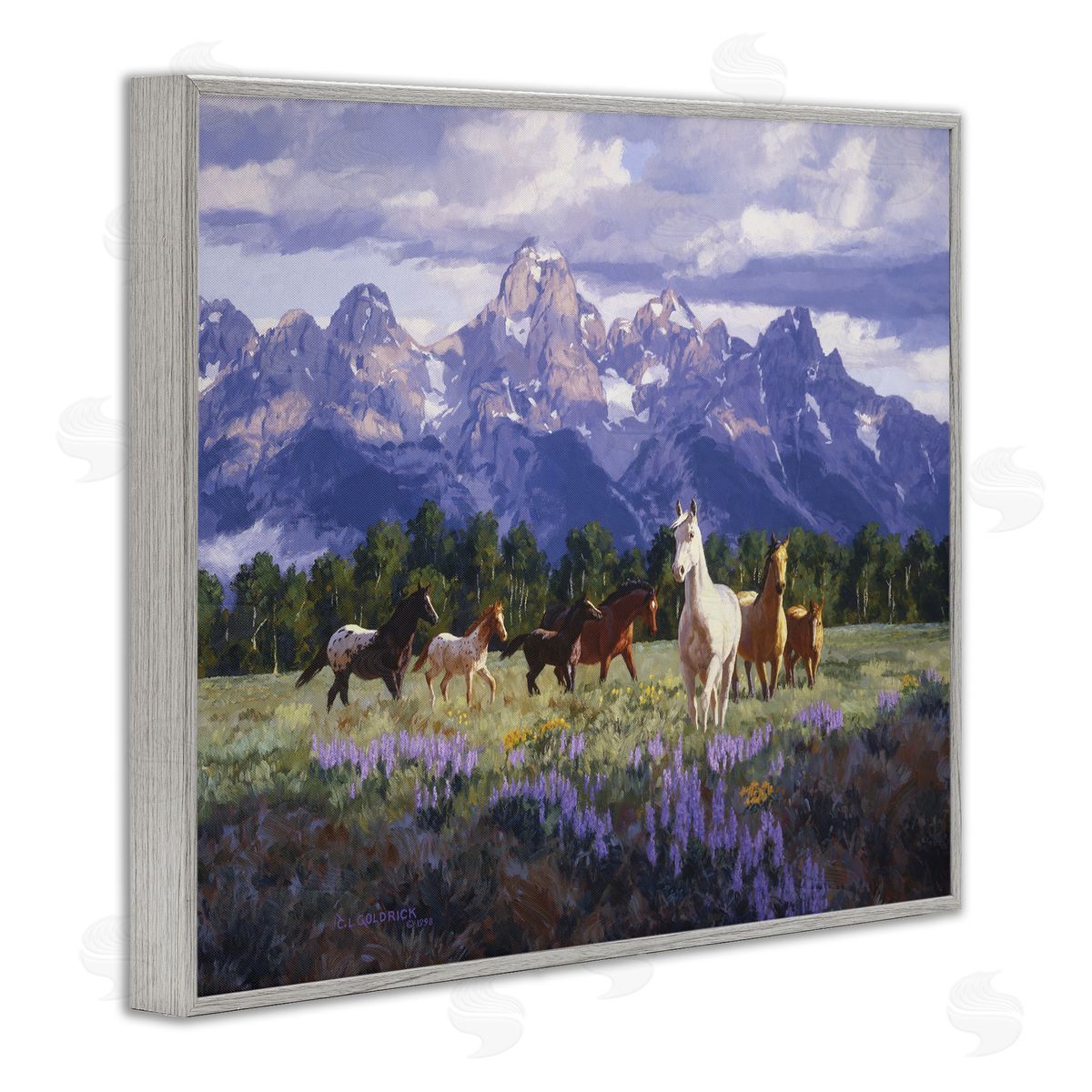 Claire Goldrick | Valley Meadow Horse Herd