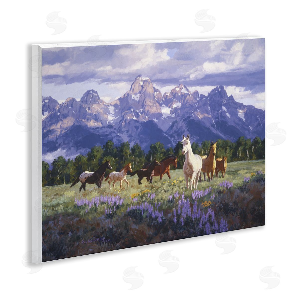 Claire Goldrick | Valley Meadow Horse Herd