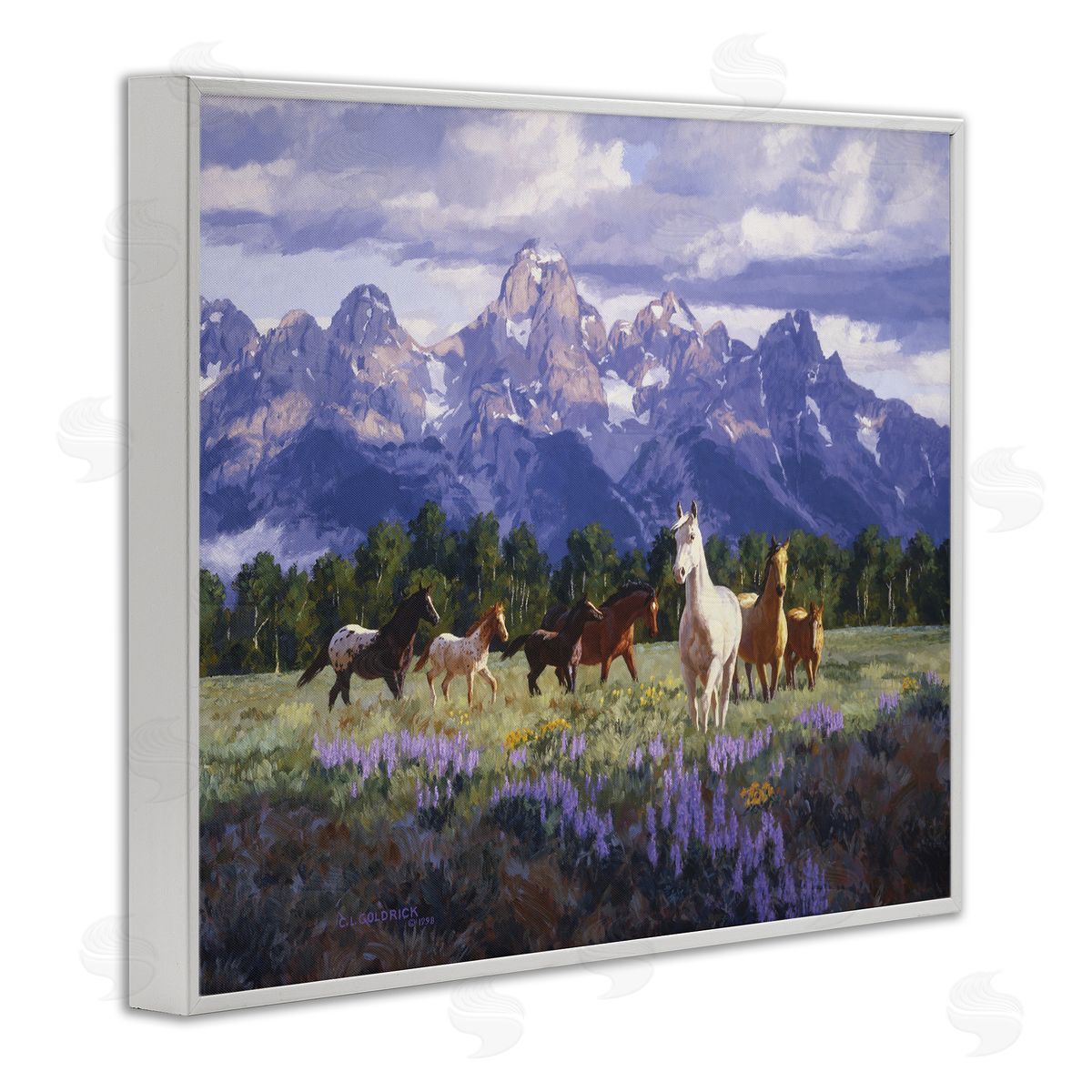 Claire Goldrick | Valley Meadow Horse Herd