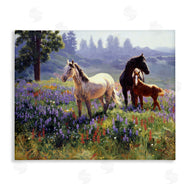 Claire Goldrick | Horse Family in Charming Meadow