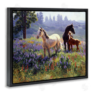 Claire Goldrick | Horse Family in Charming Meadow