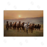 PHBurchett | Herd of Horses on Journey