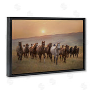 PHBurchett | Herd of Horses on Journey