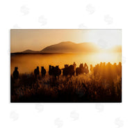 PHBurchett | Sun Bleached Cowboy & Horses