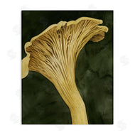 Grace Popp | Chantarelle Mushroom Sprout