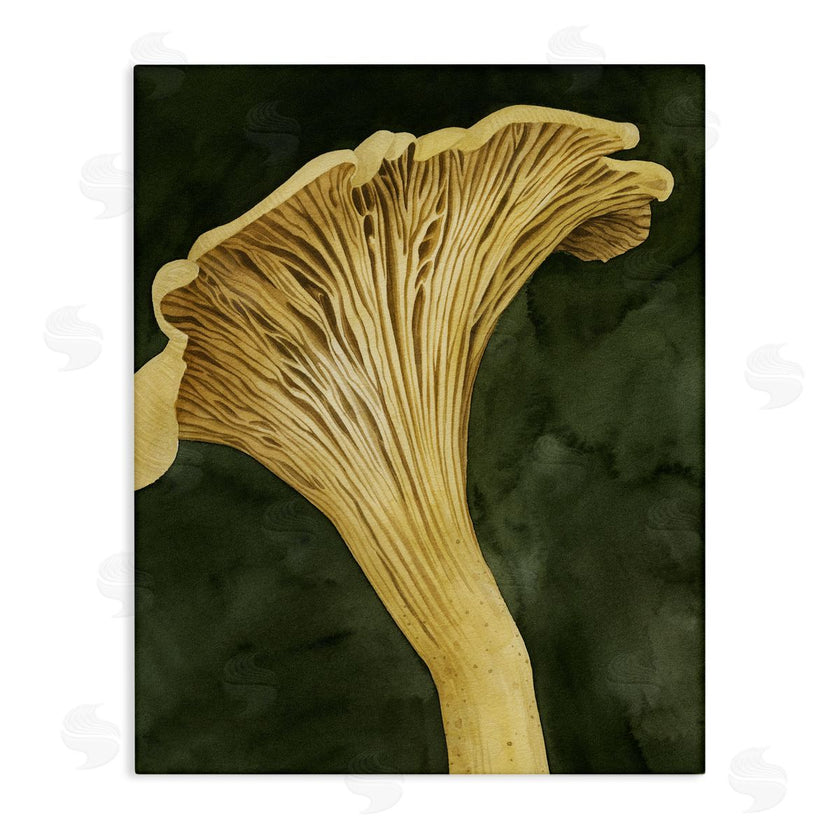 Grace Popp | Chantarelle Mushroom Sprout