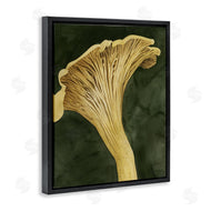 Grace Popp | Chantarelle Mushroom Sprout