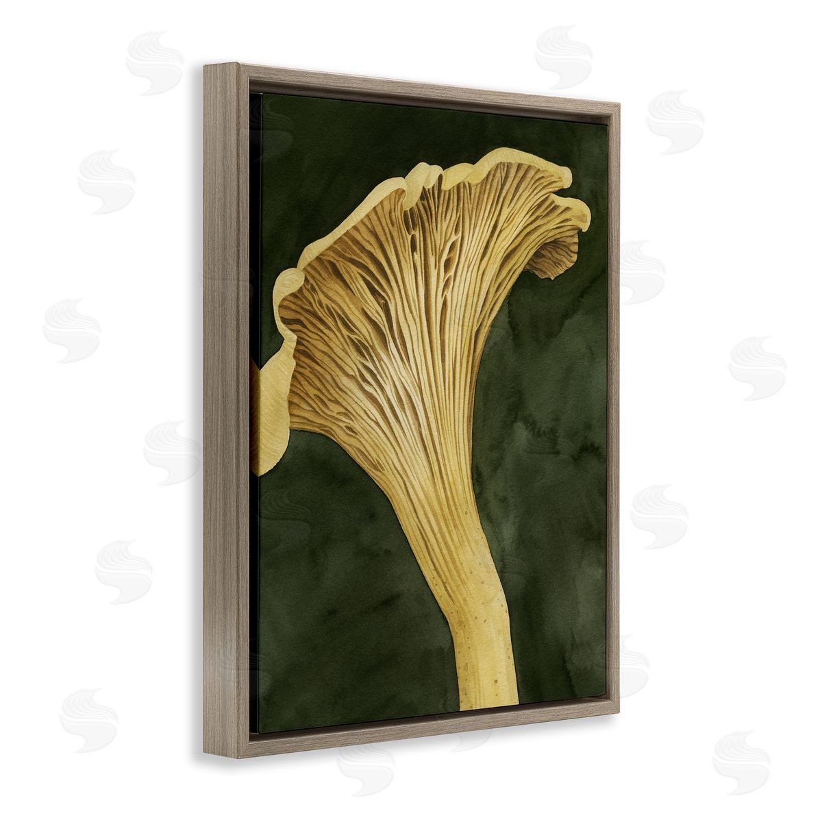 Grace Popp | Chantarelle Mushroom Sprout