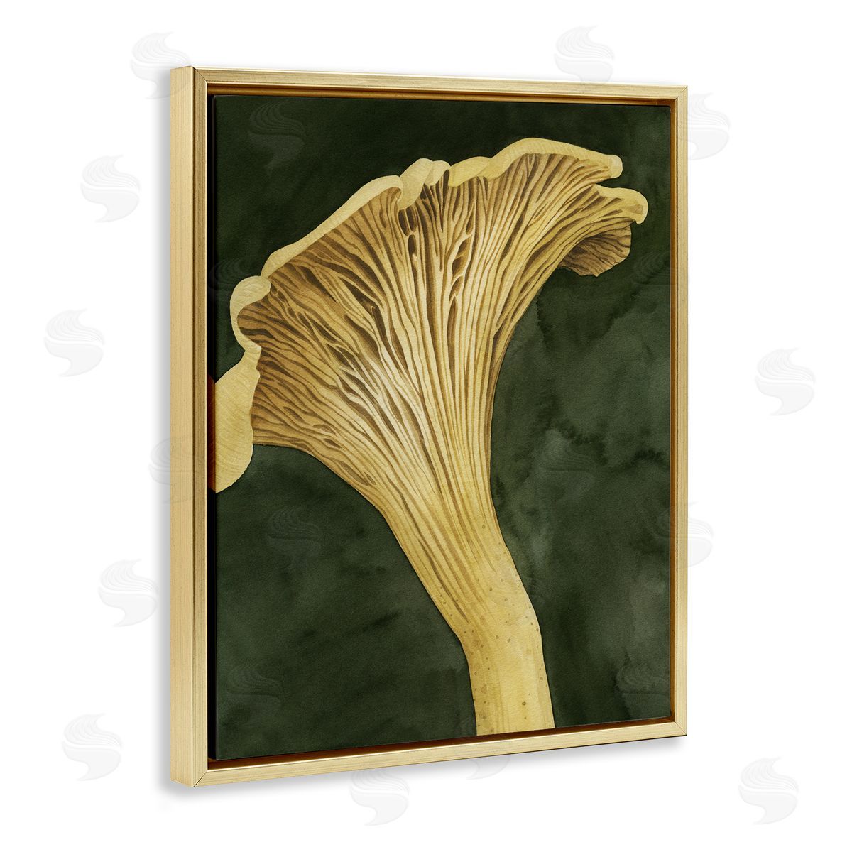 Grace Popp | Chantarelle Mushroom Sprout