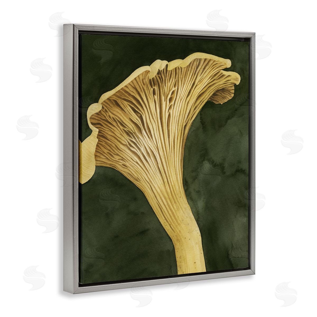 Grace Popp | Chantarelle Mushroom Sprout