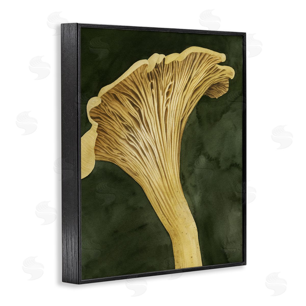 Grace Popp | Chantarelle Mushroom Sprout