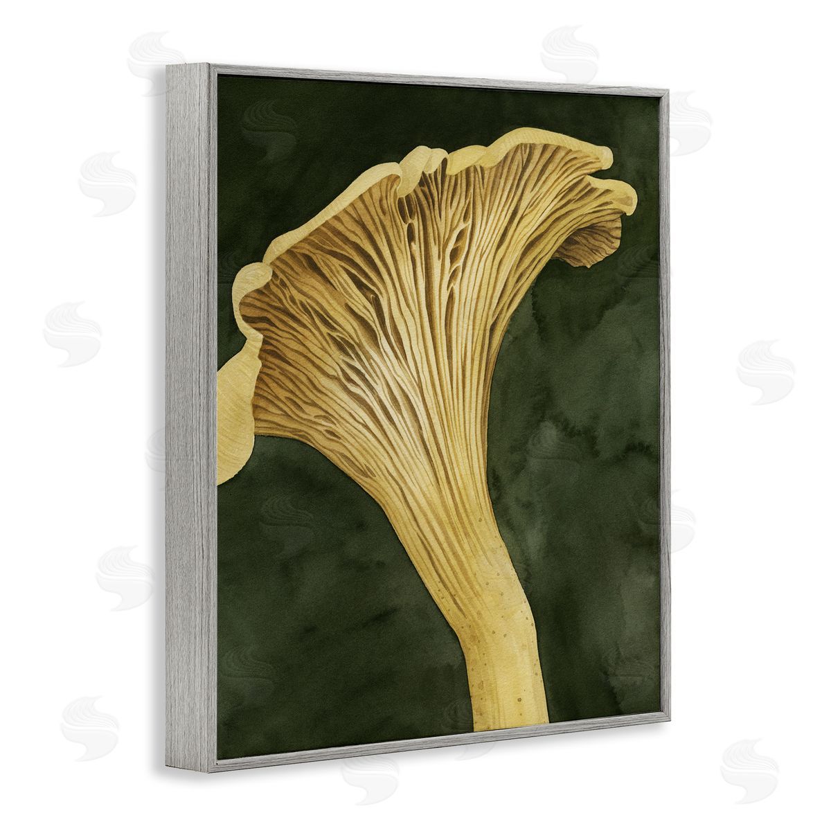 Grace Popp | Chantarelle Mushroom Sprout