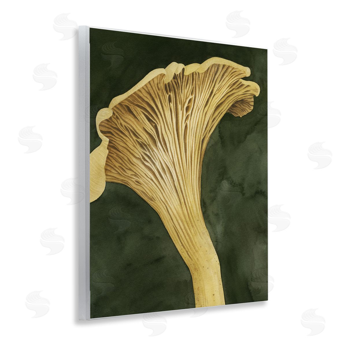 Grace Popp | Chantarelle Mushroom Sprout