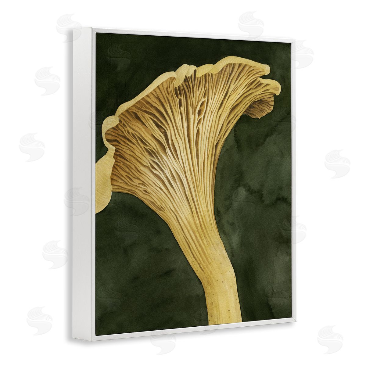 Grace Popp | Chantarelle Mushroom Sprout