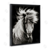 PHBurchett | Windblown Mane Horse on Black