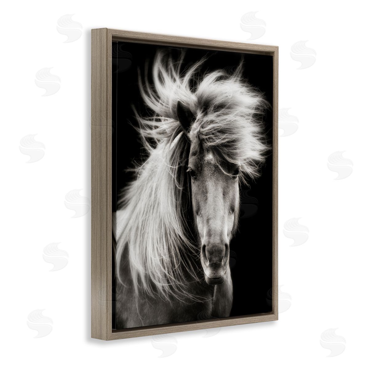 PHBurchett | Windblown Mane Horse on Black
