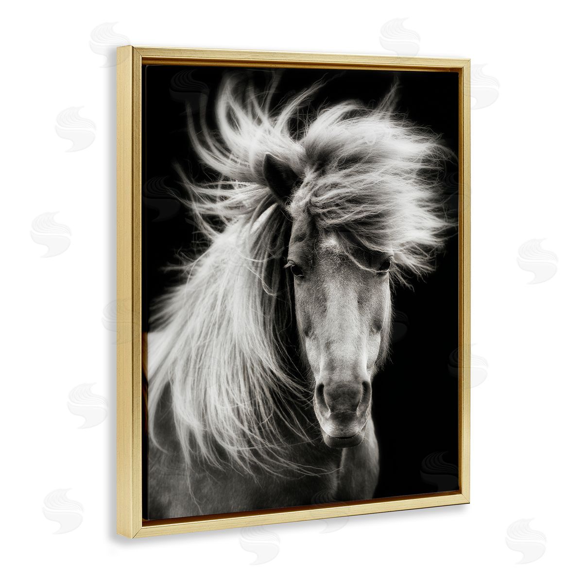 PHBurchett | Windblown Mane Horse on Black