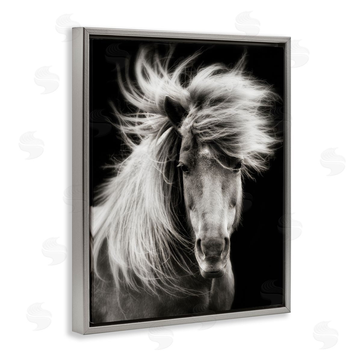 PHBurchett | Windblown Mane Horse on Black