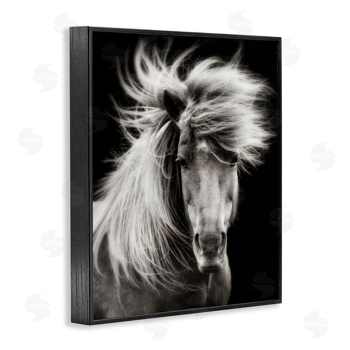 PHBurchett | Windblown Mane Horse on Black