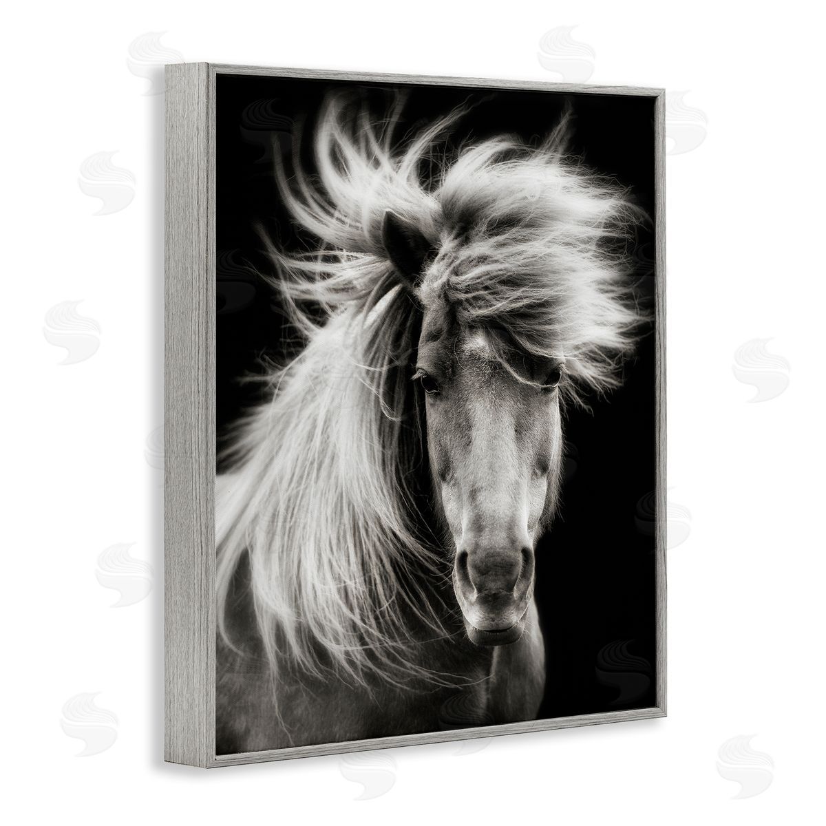 PHBurchett | Windblown Mane Horse on Black