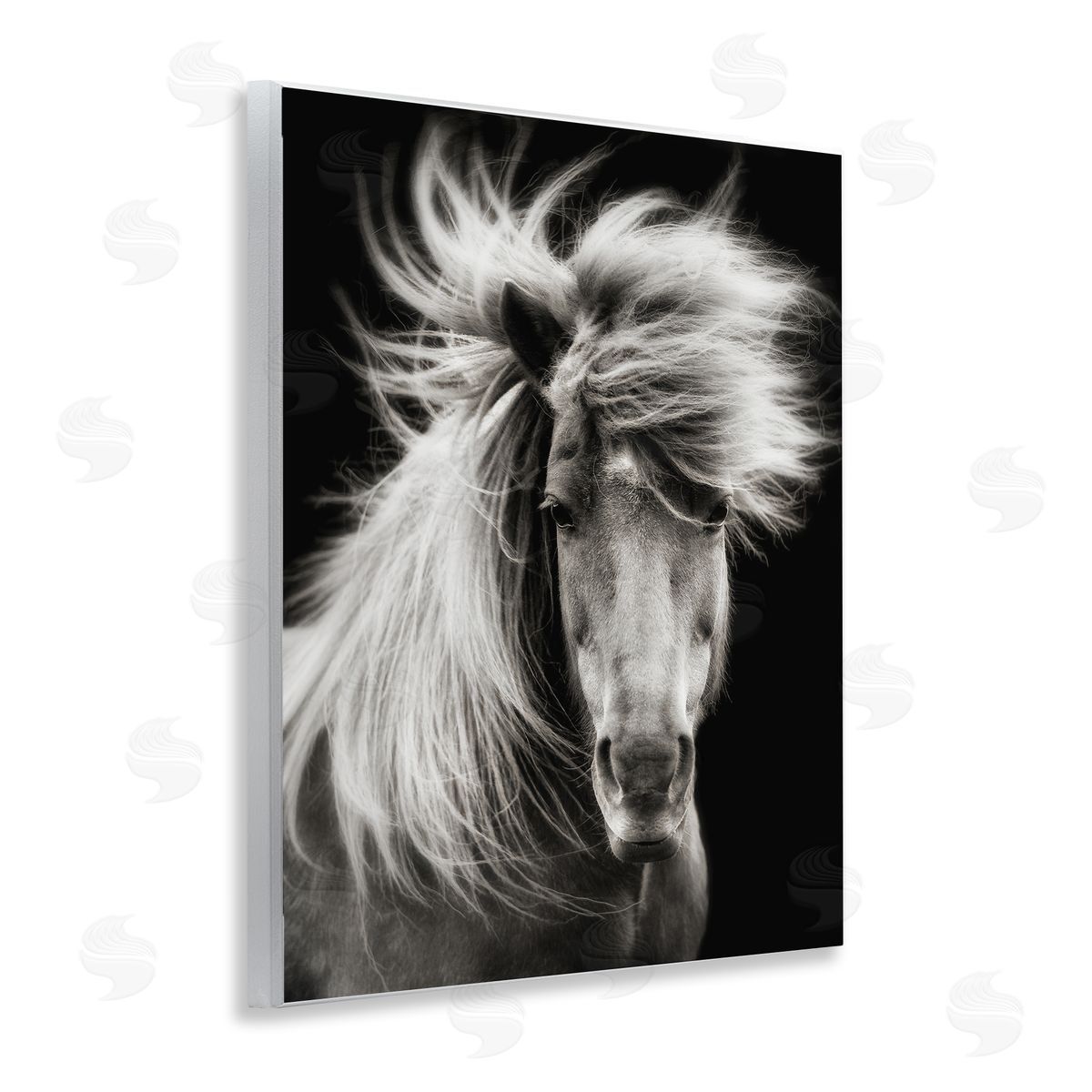 PHBurchett | Windblown Mane Horse on Black