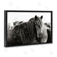 PHBurchett | Gazing Horse Among Herd