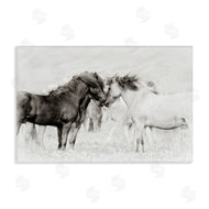 PHBurchett | Heartfelt Horses in Neutrals