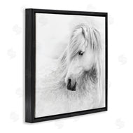 PHBurchett | Gazing White Toned Horse