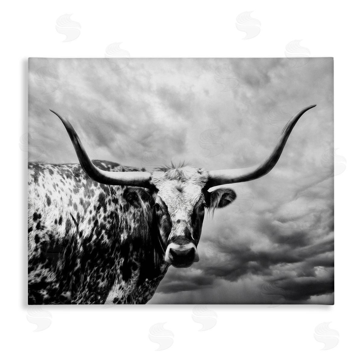 PHBurchett | Spotted Longhorn over Clouds