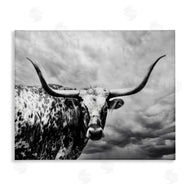PHBurchett | Spotted Longhorn over Clouds