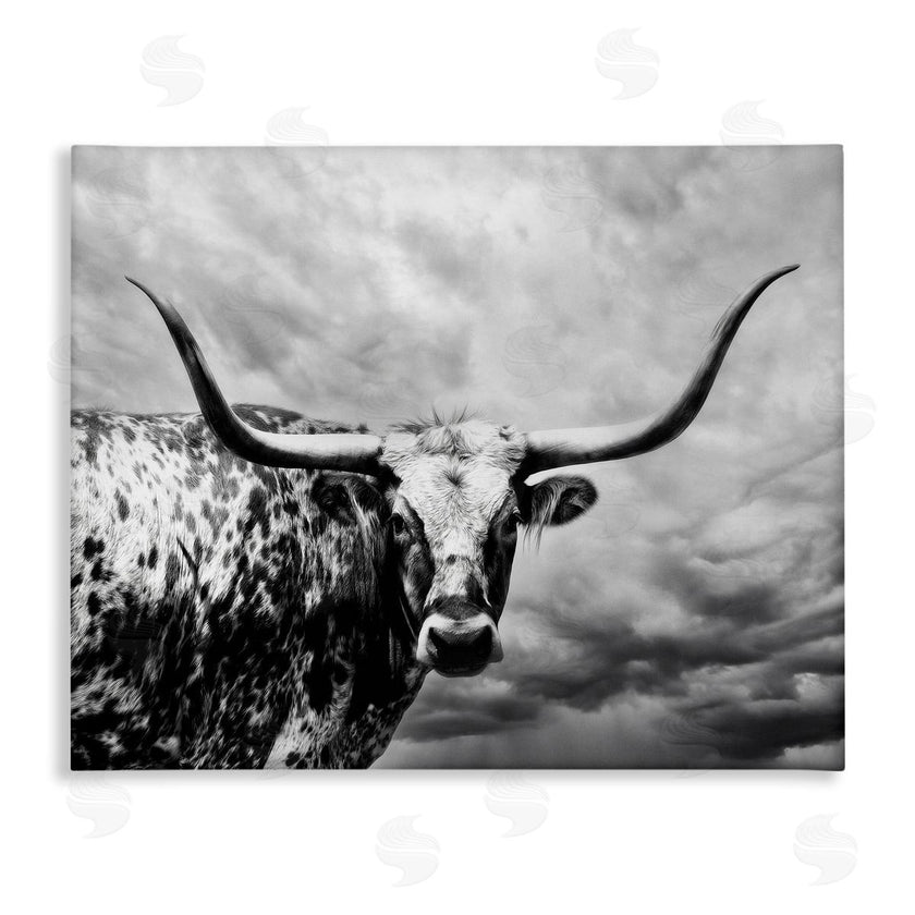 PHBurchett | Spotted Longhorn over Clouds