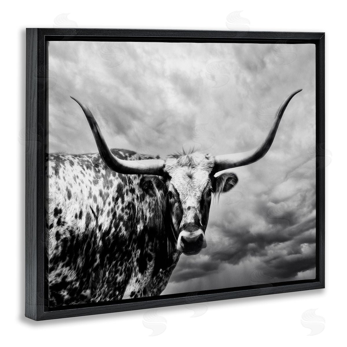 PHBurchett | Spotted Longhorn over Clouds