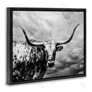 PHBurchett | Spotted Longhorn over Clouds